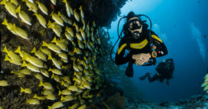 a scuba diver and a school of fish