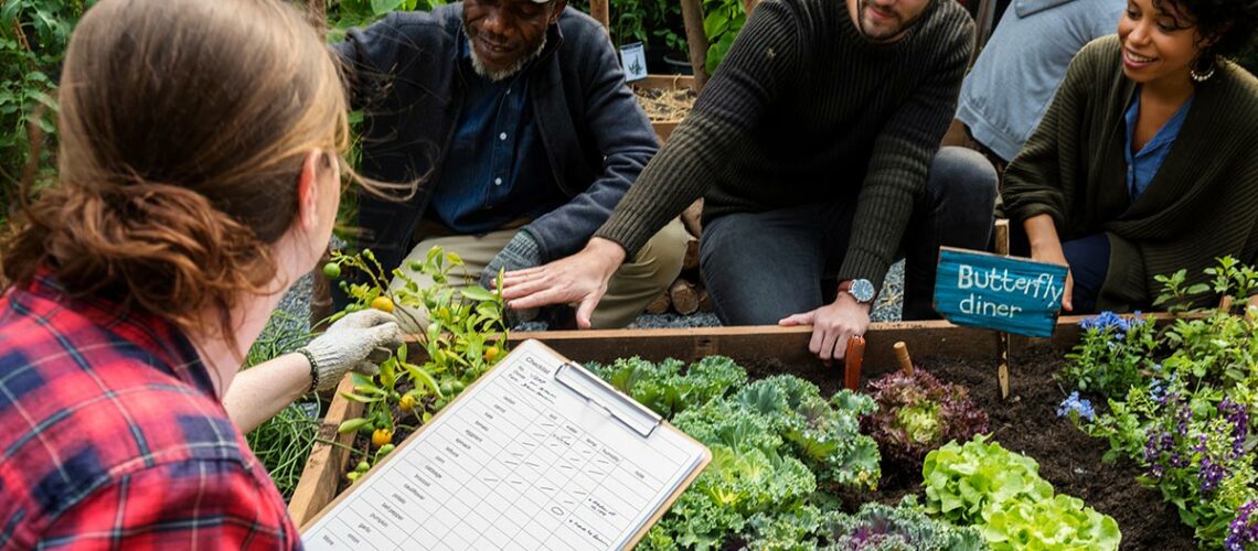 Community Garden